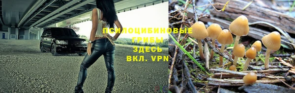 PSILOCYBIN Беломорск