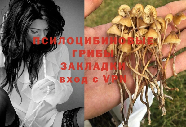амф Баксан