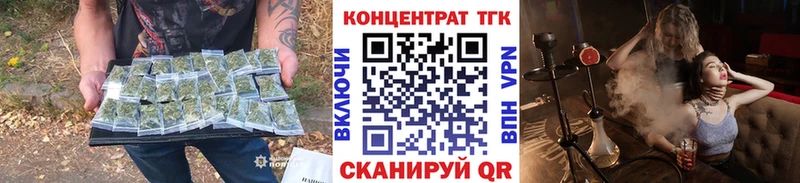 Купить где  Сунжа  ТГК концентрат 